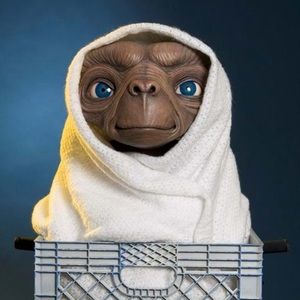 E.t shoe